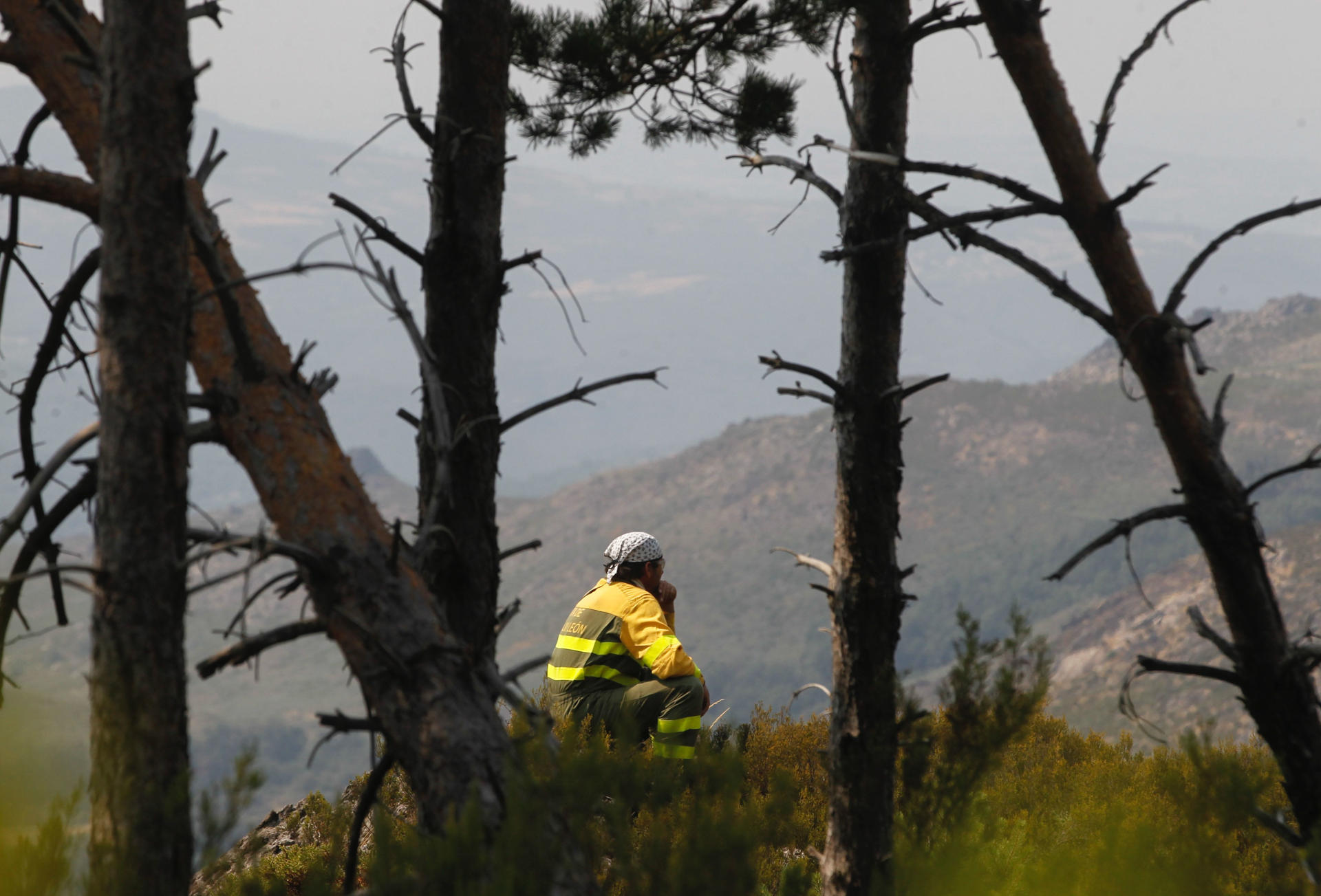 Un brigadista observa la evolución del incendio de Ourense a punto de llegar a Castromil (Zamora). EFE/Mariam A. Montesinos
