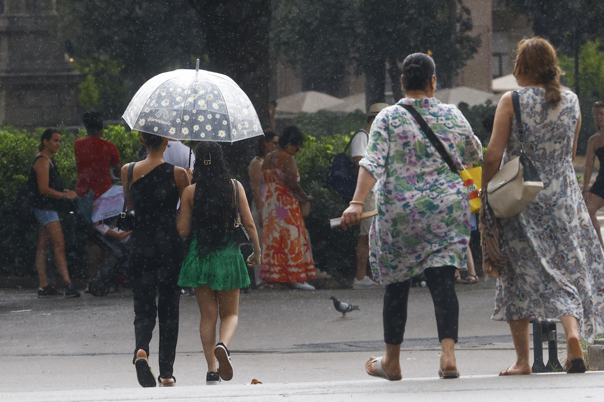 Aunque ligeras de momento, este martes han caído sobre Barcelona las primeras y necesarias lluvias tras la ola de calor que ha afectado a la península durante los últimos días.EFE/ Quique García