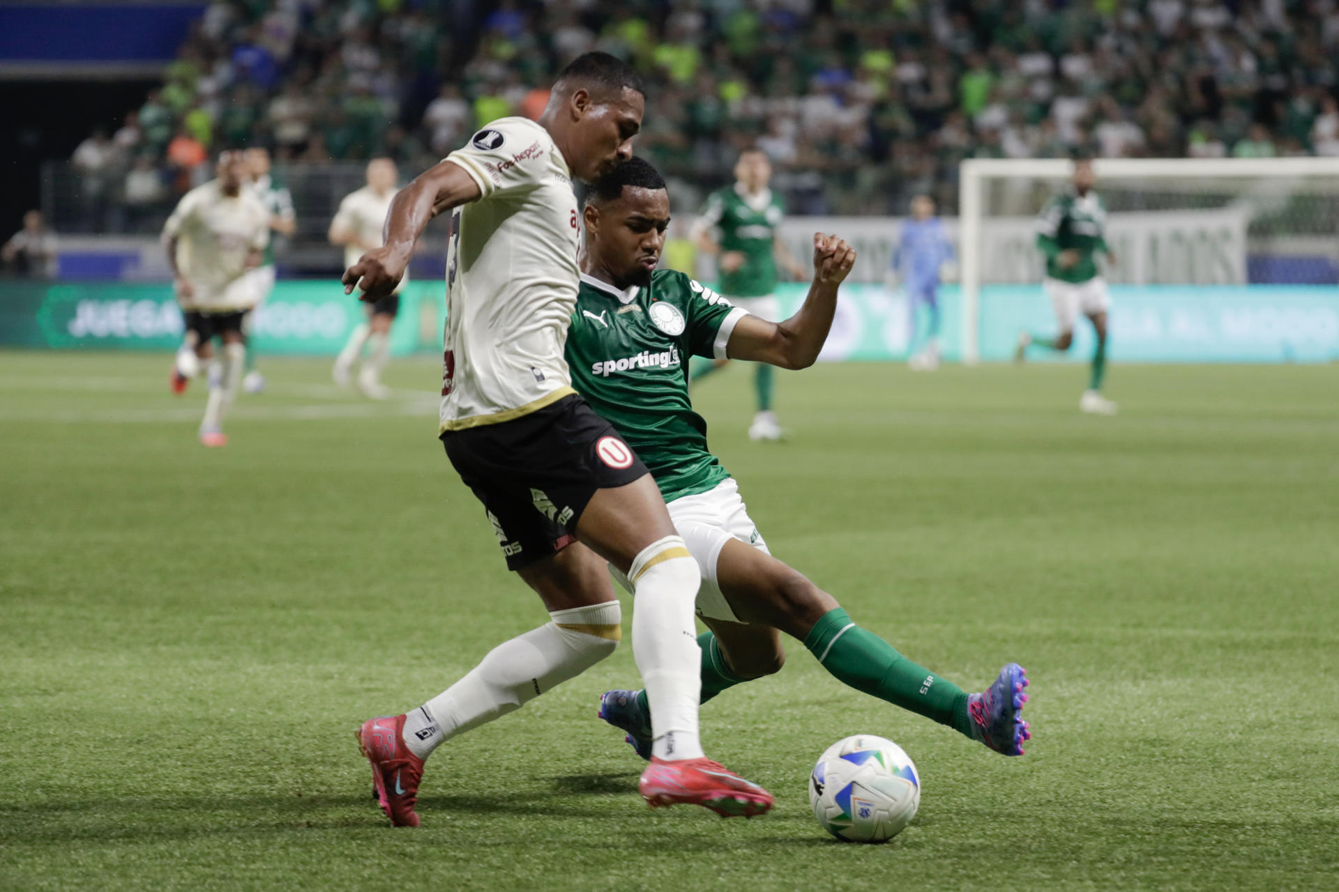 Allan (d) de Palmeiras disputa el balón con José Carabalí de Universitarioen un partido de los octavos de final de la Copa Libertadores. EFE/ Sebastiao Moreira

