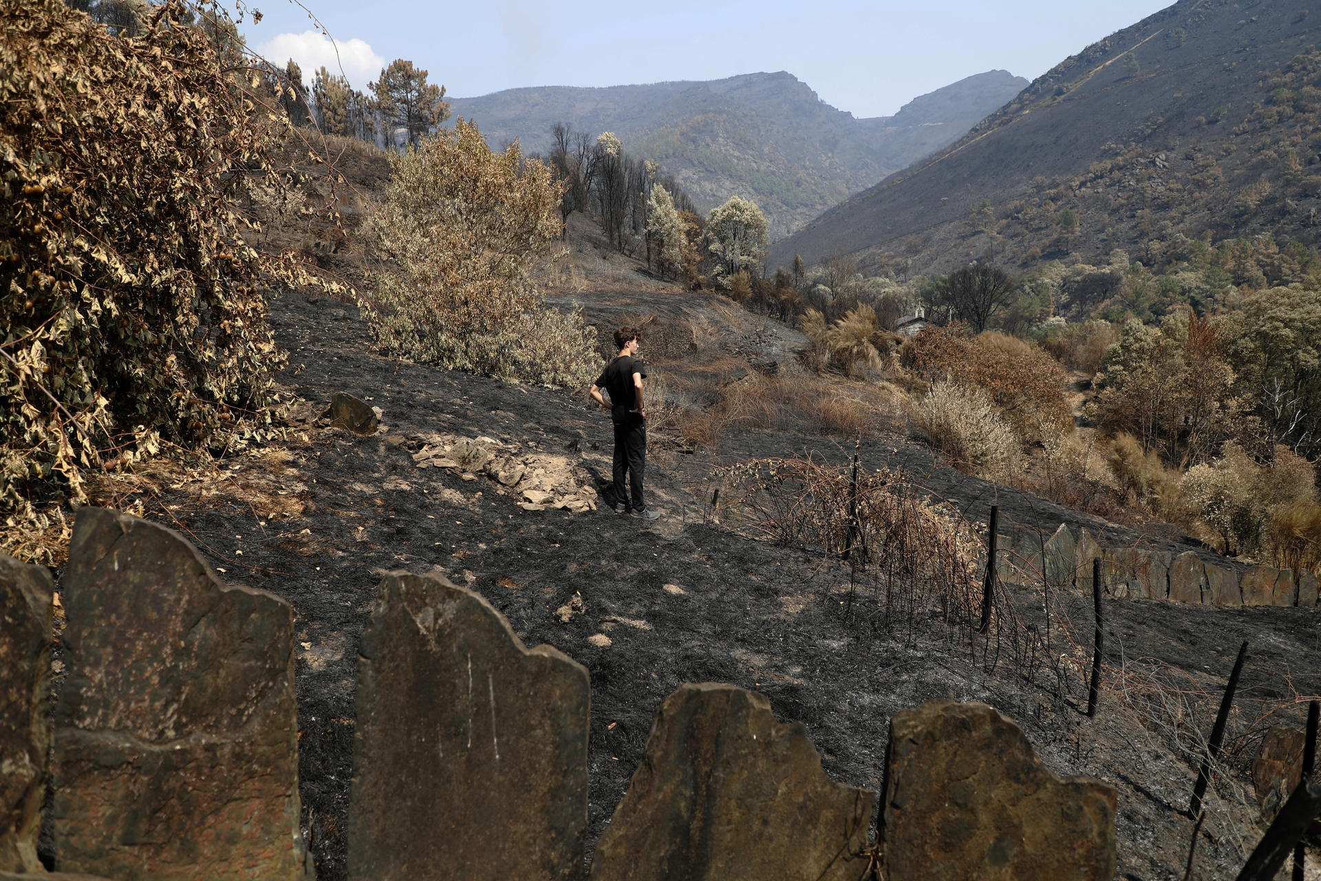 Los dos últimos habitantes de Ferreira se marcharon el año pasado. Fue el anuncio de muerte de esta aldea de Montefurado, en Quiroga (Lugo), donde el fuego acaba de arrasar lo poco que el abandono del rural no se había llevado aún por delante. En la imagen, Lois, nieto de los dos últimos habitantes, ante la superficie arrasada por los incendios. EFE/ Eliseo Trigo

