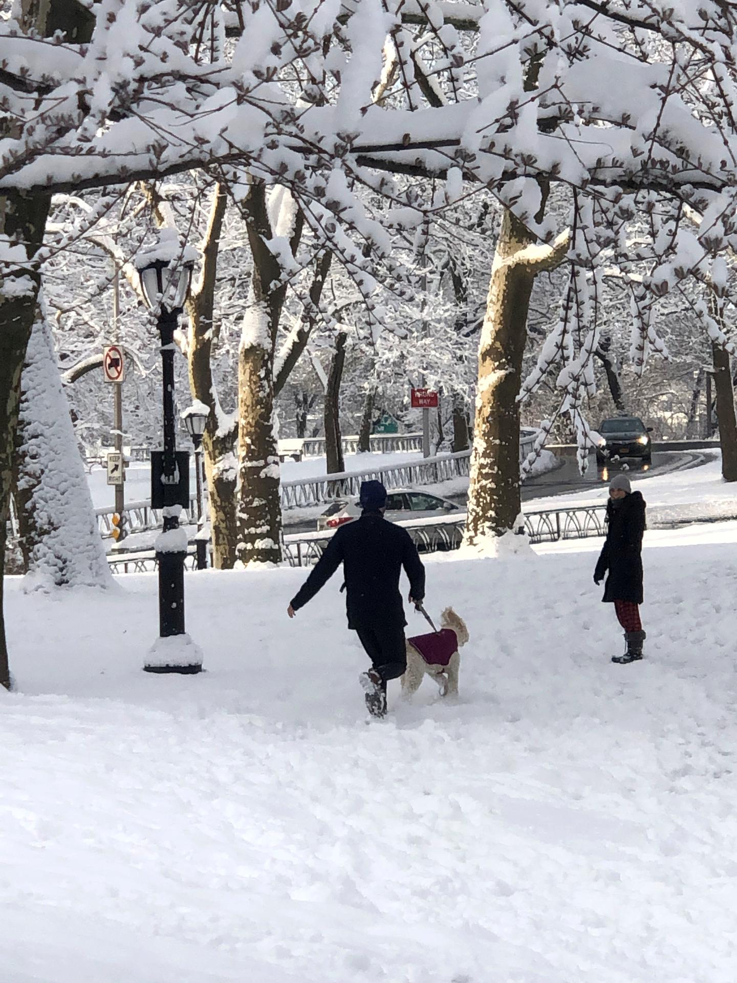 En la imagen de archivo, dos personas pasean un perro por una calle cubierta de nieve cerca del parque Riverside, en el Upper West de Nueva York (EE.UU.). EFE/ Javier Otazu