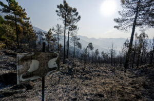 Vista de los efectos del incendio en las localidades abulenses de Mombeltrán, Cuevas del Valle y El Arenal. El incendio forestal que desde la noche del pasado lunes se mantiene activo en el Valle del Tiétar, al sur de la provincia de Ávila, no sufre reproducciones, después de una noche "tranquila", en la que el trabajo del amplio dispositivo desplazado a la zona ha sido "productivo". Tras la evolución positiva del jueves, favorable y sin llama en el perímetro de 25 kilómetros en el que se han quemado en torno a 2.200 hectáreas, la situación se mantiene en la mañana de este viernes con trabajos "metro a metro", según ha informado la Junta de Castilla y León.-EFE/ Raúl Sanchidrián