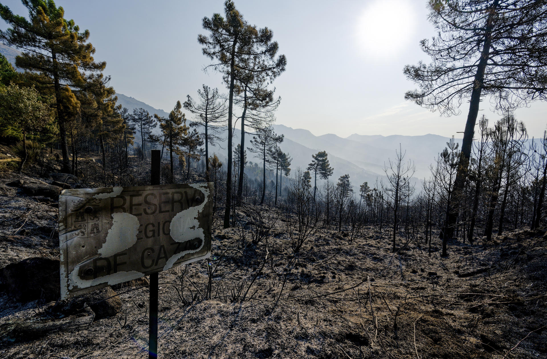 Vista de los efectos del incendio en las localidades abulenses de Mombeltrán, Cuevas del Valle y El Arenal. El incendio forestal que desde la noche del pasado lunes se mantiene activo en el Valle del Tiétar, al sur de la provincia de Ávila, no sufre reproducciones, después de una noche "tranquila", en la que el trabajo del amplio dispositivo desplazado a la zona ha sido "productivo". Tras la evolución positiva del jueves, favorable y sin llama en el perímetro de 25 kilómetros en el que se han quemado en torno a 2.200 hectáreas, la situación se mantiene en la mañana de este viernes con trabajos "metro a metro", según ha informado la Junta de Castilla y León.-EFE/ Raúl Sanchidrián