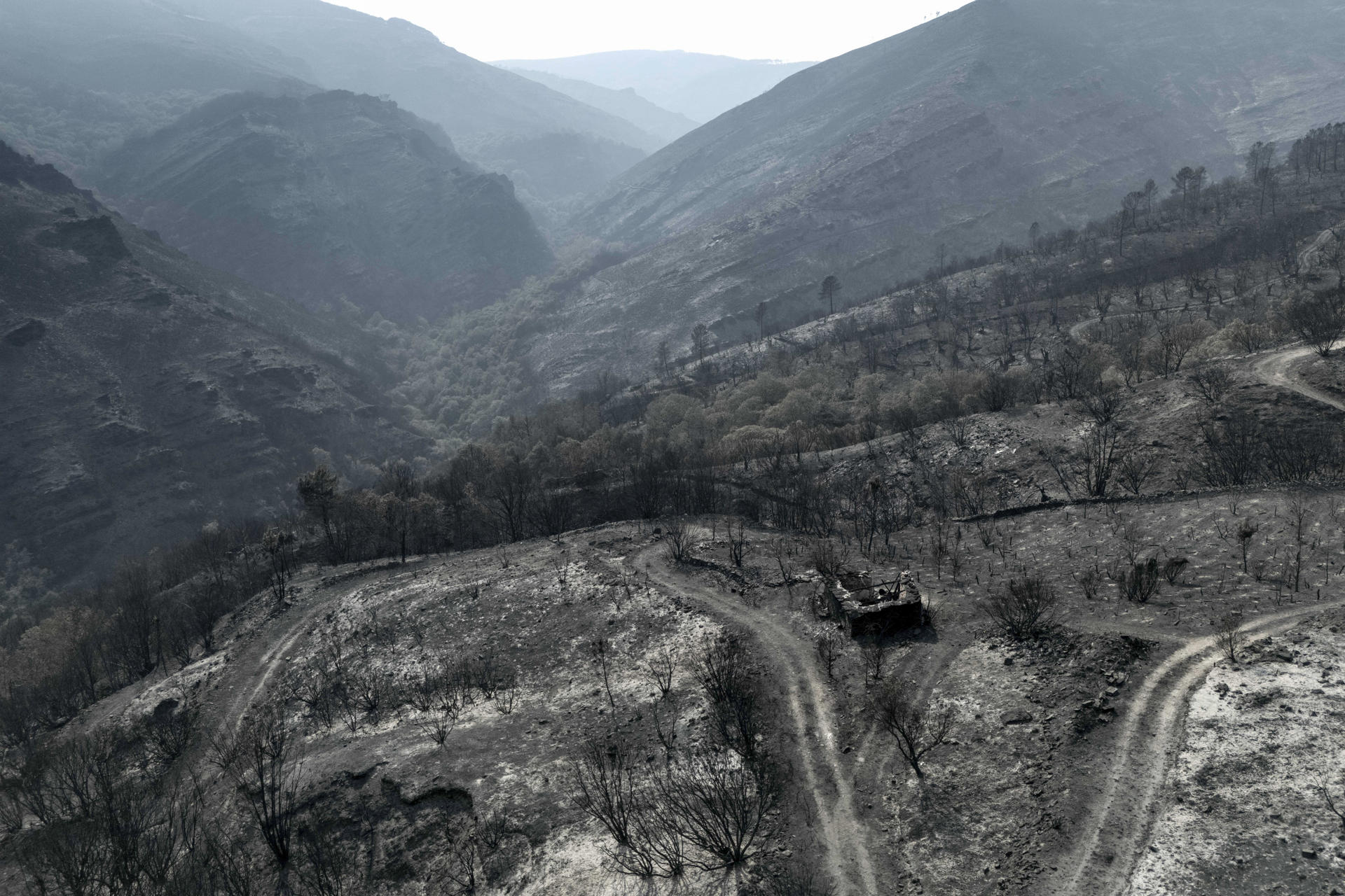 Superficie calcinada por el peor incendio de la historia de Galicia, el de Larouco (Ourense), estabilizado tras arrasar 30.000 hectáreas. EFE/Brais Lorenzo