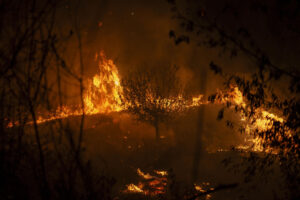 Imagen del incendio forestal en A Rúa (Ourense), este sábado. EFE/ Brais Lorenzo