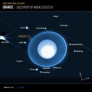 Una imagen anotada tomada por el telescopio James Webb del planeta Urano sobre un fondo negro con 13 de sus 28 lunas conocidas. La luna ahora descubierta está etiquetada en amarillo. Crédito: NASA, ESA, CSA, STScI, M. El Moutamid (SWRI), M. Hedman (University of Idaho)