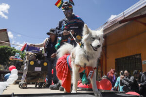 Personas participan en un desfile canino este sábado, en La Paz (Bolivia). EFE/ Gabriel Márquez