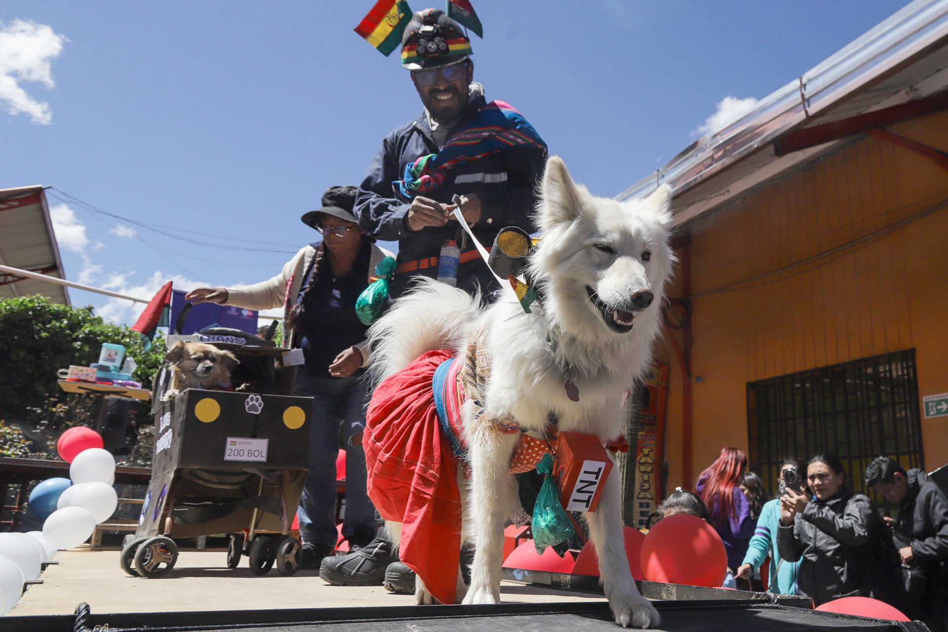 Personas participan en un desfile canino este sábado, en La Paz (Bolivia). EFE/ Gabriel Márquez