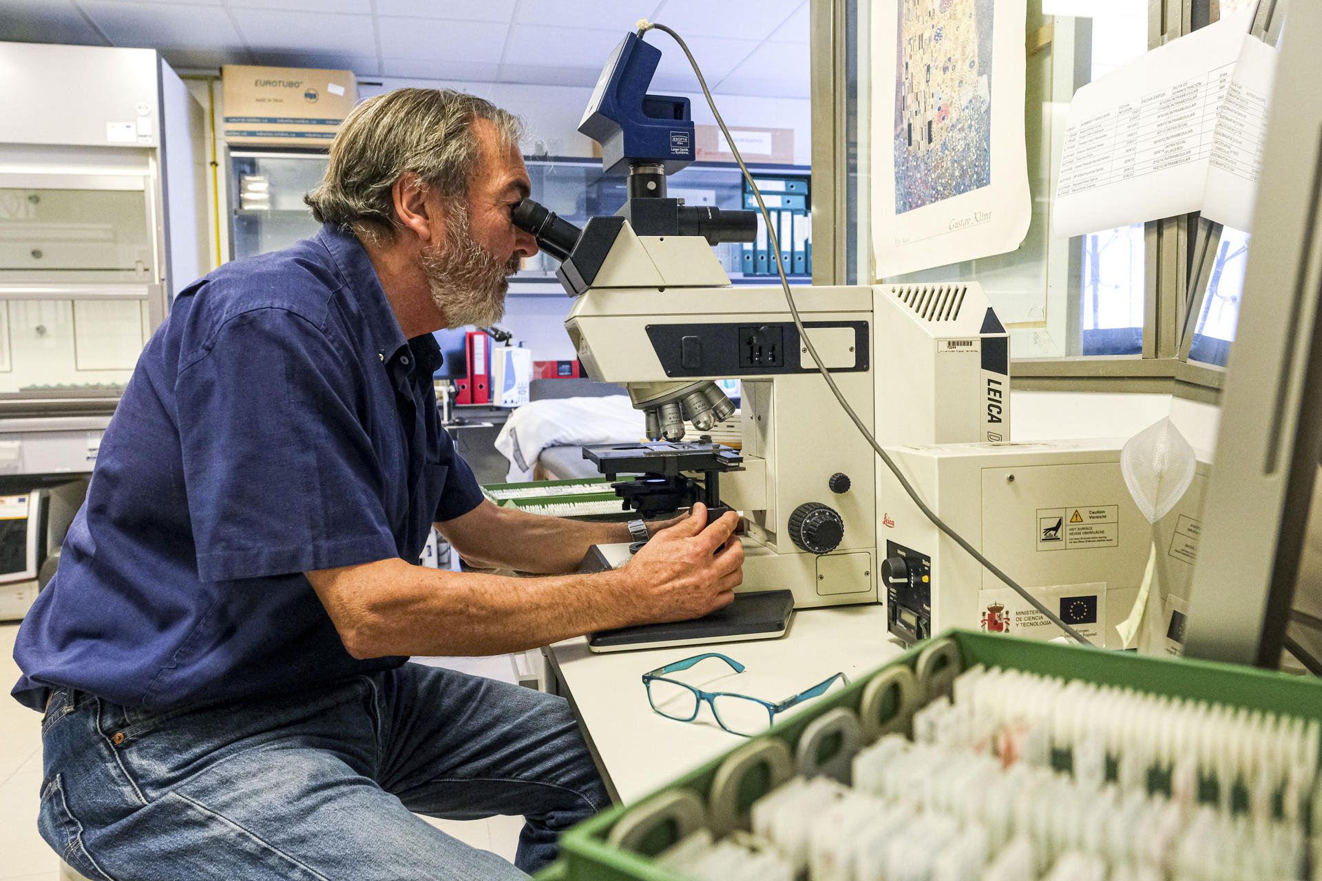 Una novedosa investigación sobre los efectos de la pandemia concluye que las niñas y niños de 5 años que contrajeron el virus de la covid-19 en el embarazo de sus madres (de forma congénita) y antes de las primeras vacunas presentan un aumento del 10 por ciento en los casos de retraso del desarrollo cognitivo. En la imagen el neurocientífico Salvador Martínez, científico principal del estudio, del Instituto de Neurociencias, centro mixto del CSIC y de la Universidad Miguel Hernández (UMH) de Elche. EFE/Pablo Miranzo