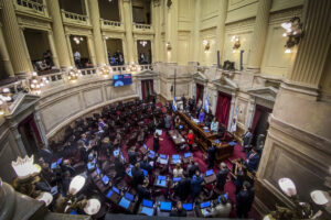 Vista general de archivo de una sesión de la cámara de Senadores en el Congreso de la Nación en Buenos Aires (Argentina). EFE/ Juan Ignacio Roncoroni