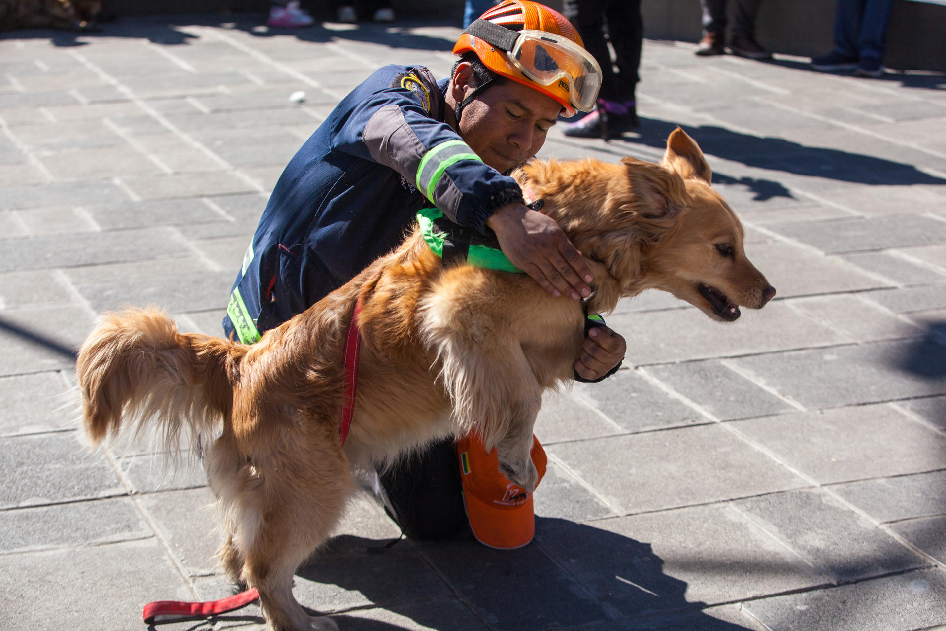 Un perro entrenado en búsqueda y rescate de personas bajo escombros fue captado este jueves, 7 de agosto, durante su presentación, en La Paz (Bolivia). EFE/Esteban Biba
