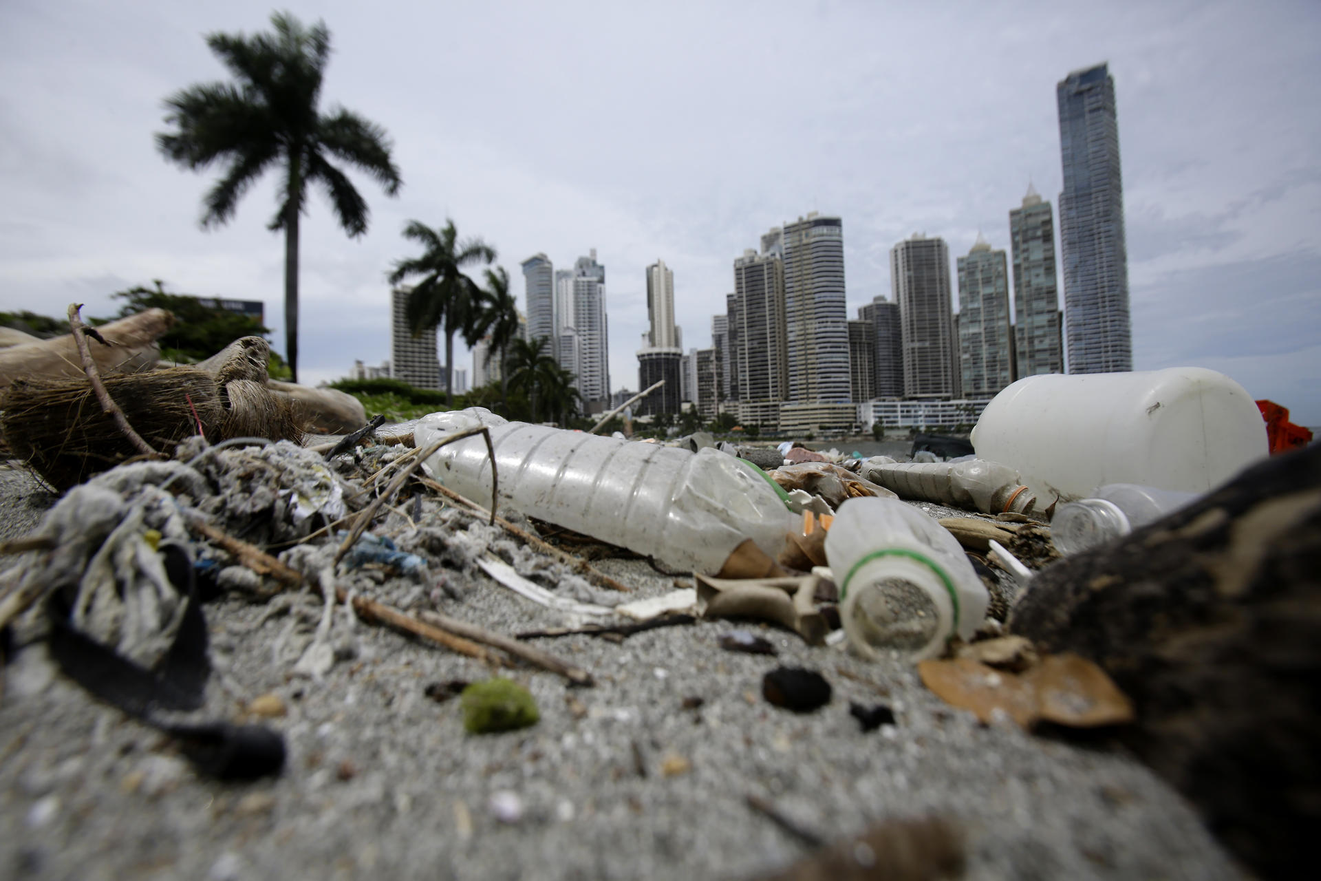 Fotografía de plásticos acumulados en la Cinta Costera el 5 de agosto de 2025, en la bahía de Ciudad de Panamá (Panamá). EFE/ Carlos Lemos