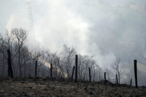 Zona quemada en las proximidades del Santuario de la Virgen del Acebo este miércoles en Asturias,. Nueve incendios continúan activos esta mañana en Asturias, tres de ellos en el concejo de Cangas del Narcea, donde se concentra el mayor operativo de lucha contra el fuego y donde se ha instalado un Puesto de Mando Avanzado desde el que se sigue la evolución del fuego, que también afecta a los concejos de Allande, Cabrales, Caso, Coaña y Ponga. EFE/Paco Paredes