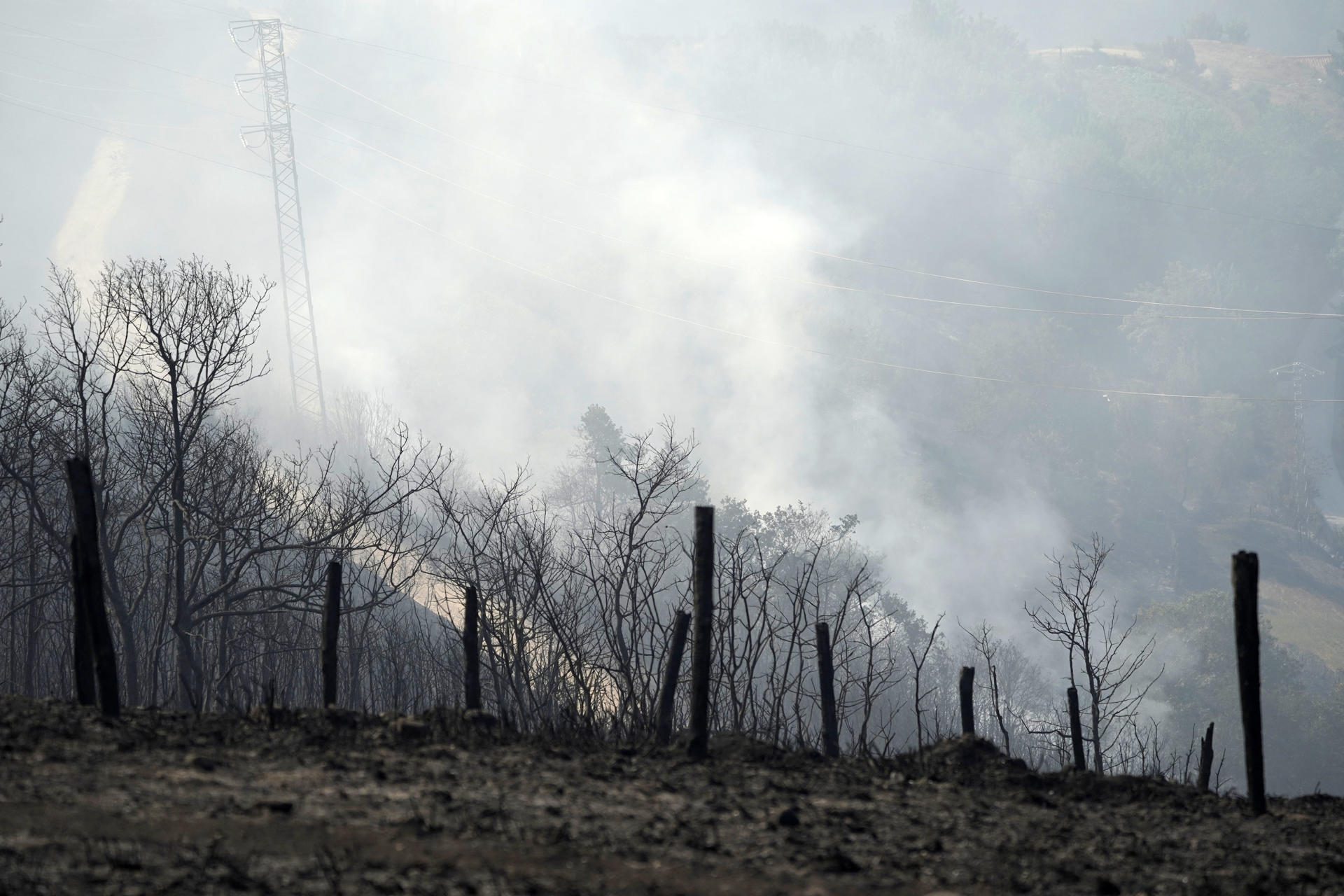 Zona quemada en las proximidades del Santuario de la Virgen del Acebo este miércoles en Asturias,. Nueve incendios continúan activos esta mañana en Asturias, tres de ellos en el concejo de Cangas del Narcea, donde se concentra el mayor operativo de lucha contra el fuego y donde se ha instalado un Puesto de Mando Avanzado desde el que se sigue la evolución del fuego, que también afecta a los concejos de Allande, Cabrales, Caso, Coaña y Ponga. EFE/Paco Paredes
