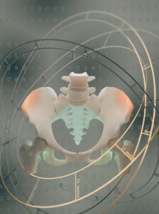La evolución de la pelvis humana en el tiempo y el espacio. Los ejes representan los cambios angulares en la orientación de la placa de crecimiento y los cambios temporales en la formación ósea, fundamentales para la forma de la pelvis humana. EFE/Dr. Behnoush Hajian