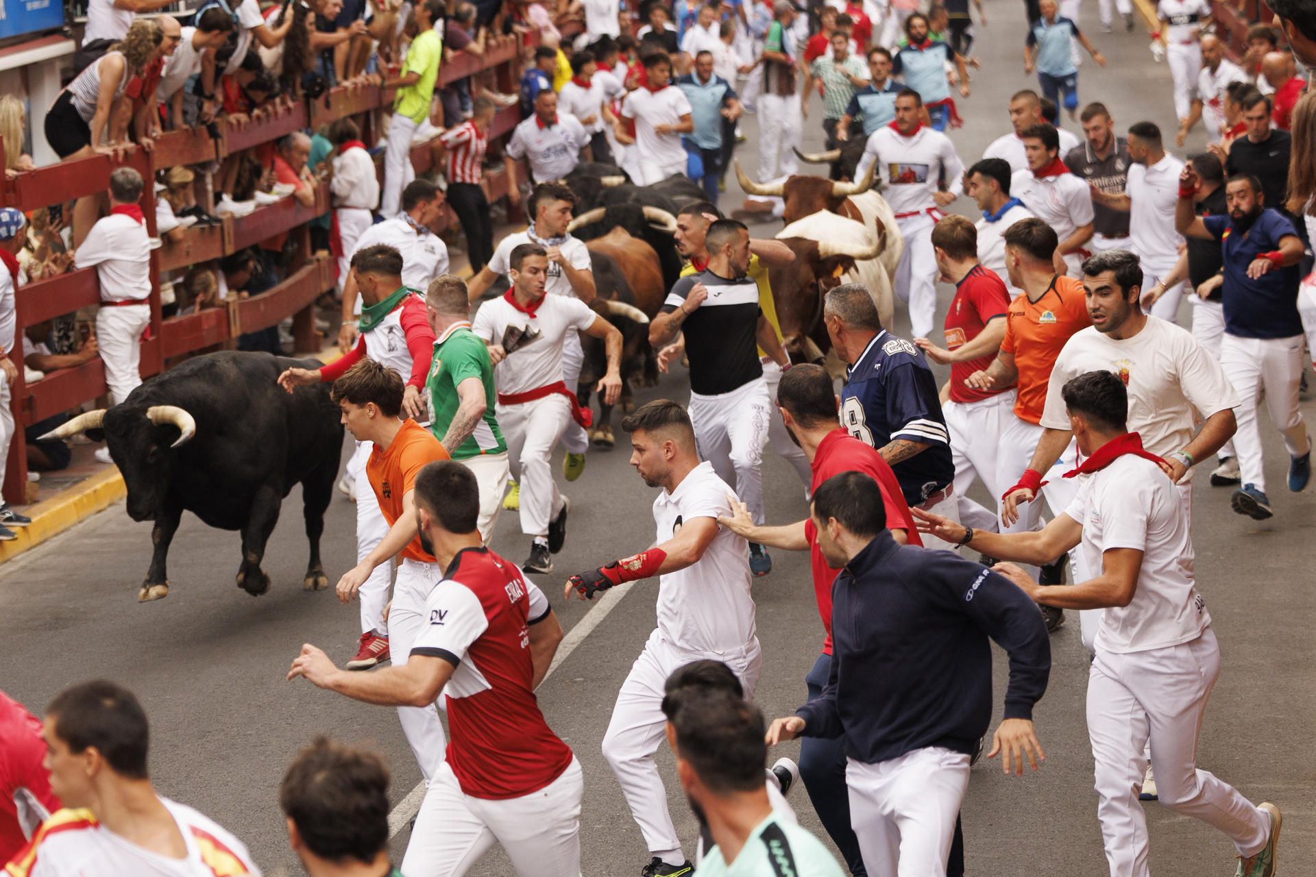 Los mozos corren este lunes durante el primer encierro de San Sebastián de los Reyes, con toros de la ganadería de La Palmosilla, en el que han participado unos 2.200corredores y se ha saldado con siete heridos, todos leves. EFE/ Sergio Perez