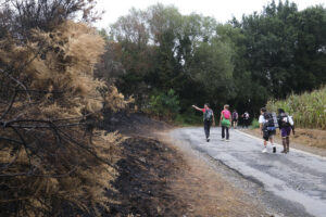 Varios peregrinos observan parte del monte calcinado a lo largo de su recorrido. A la dificultad habitual del Camino a Santiago se sumaron en los últimos días el fuego de los incendios y el humo; para unos, rozó el misticismo, y llegaron a la meta; otros cambiaron sus planes. EFE/Xurxo Martínez