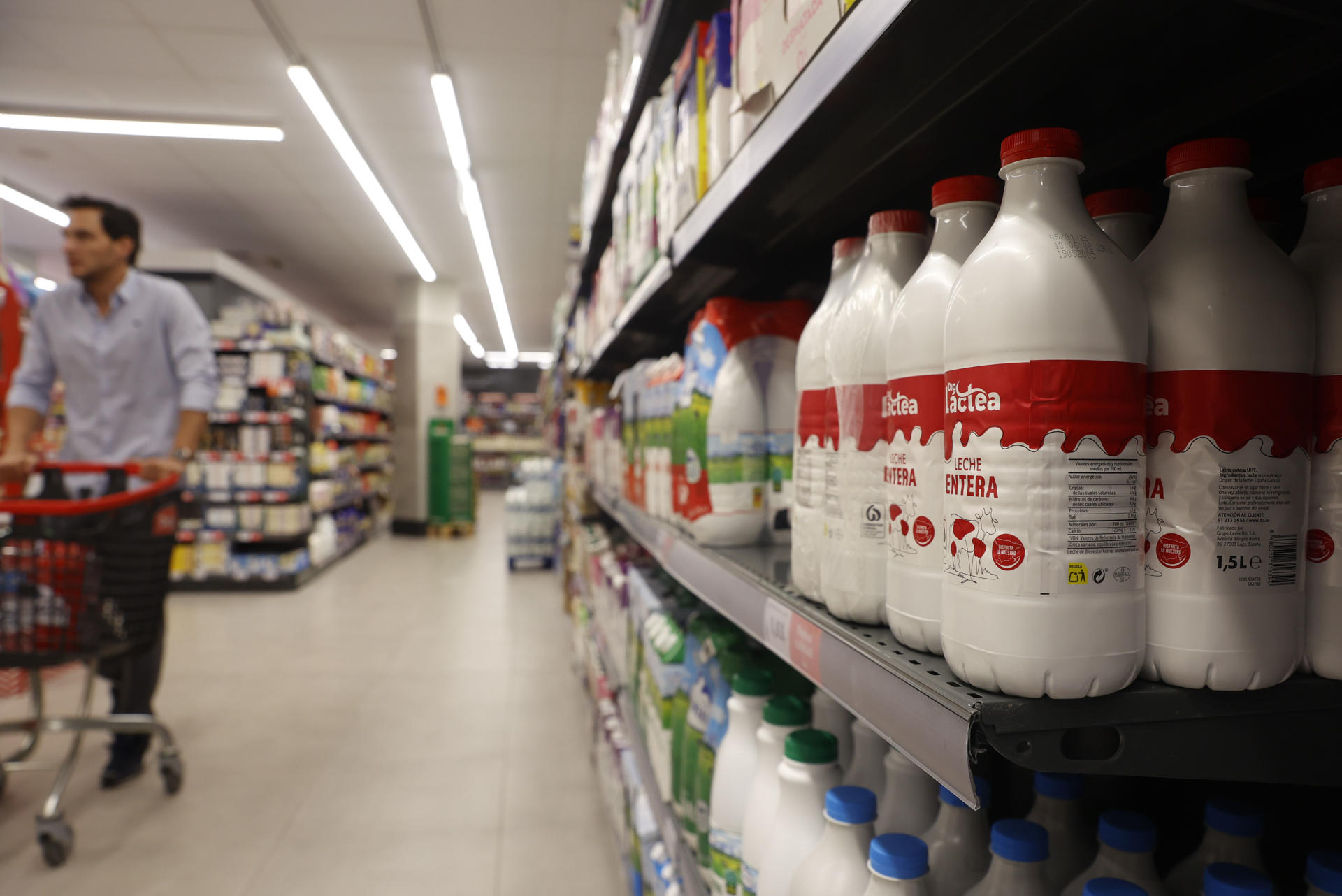 Lineal de lácteos en un supermercado este martes. Muchas familias se enfrentan a la "Operación Despensa" tras las vacaciones, un gasto que concentra el 20 % del comercio alimentario en línea de todo el año por un trasvase "brusco" en la demanda para reponer leche, legumbres y frescos en los hogares, que afrontan una cesta un 1,9 % más cara que en el arranque del año. EFE/ MARIO MORÓN