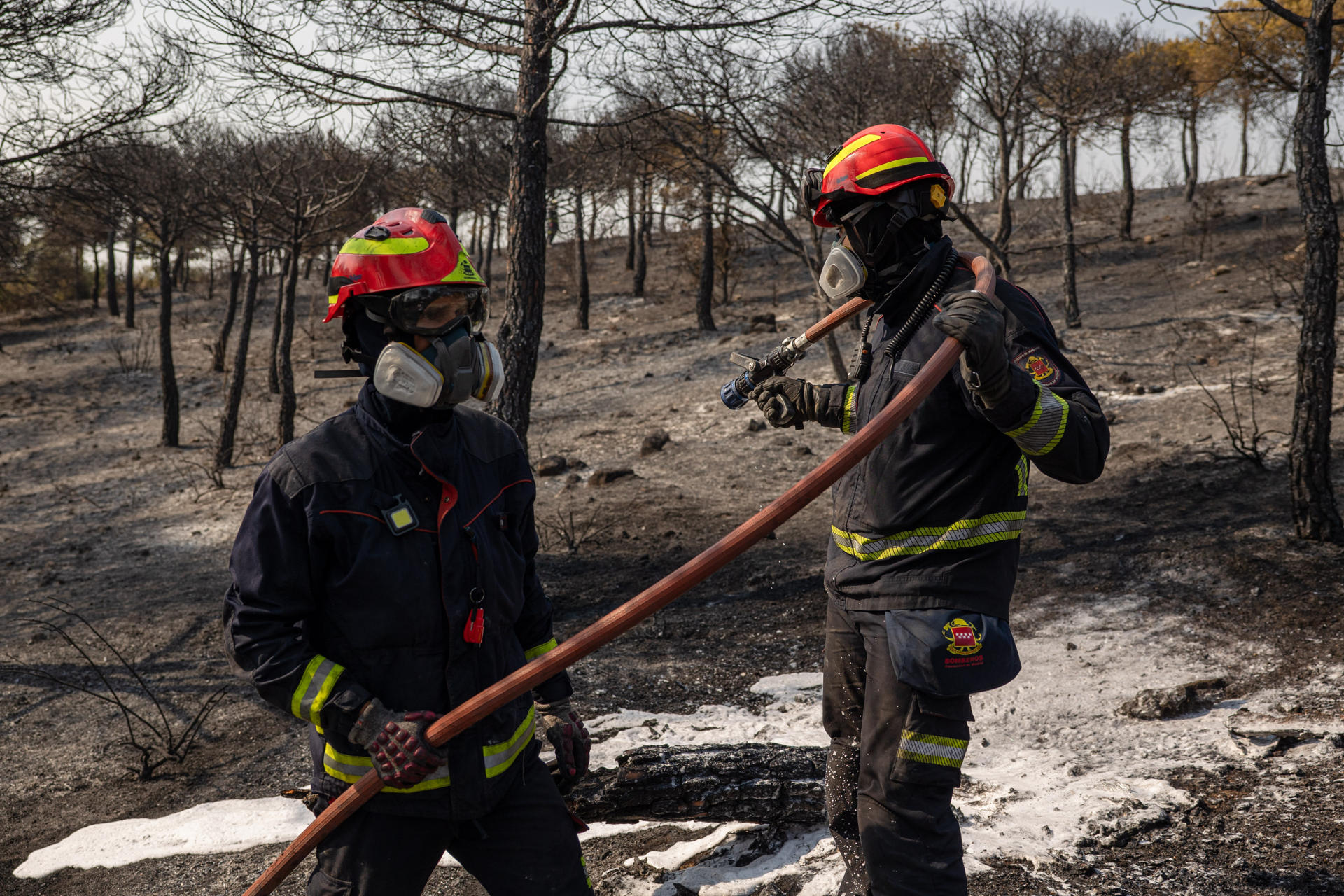 Bomberos enfrían un área de superficie quemada por el incendio que se inició en la tarde del lunes en Colmenar Viejo y que hasta el momento ha quemado 160 hectáreas de terreno y que está ya estabilizado. EFE/ Daniel Gonzalez

