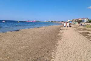 Vista de la playa de Les Albaranes de Dénia (Alicante). Marrón, seca y en montones que pueden alcanzar tres metros de altura, la posidonia oceánica varada en la playa suele parecer un residuo incómodo. Sin embargo, estas acumulaciones (arribazones) son clave para frenar la erosión costera, preservar la biodiversidad y proteger la arena del oleaje. Bajo el mar, esta planta endémica del Mediterráneo, protegida en España desde 2011, forma praderas que albergan peces, moluscos e invertebrados, producen oxígeno, capturan carbono y estabilizan los fondos marinos. Pero sus praderas están en retroceso, afectadas por el calentamiento del agua, la contaminación, el fondeo de embarcaciones y la pesca de arrastre.-EFE/ J.L. Fdez-Checa