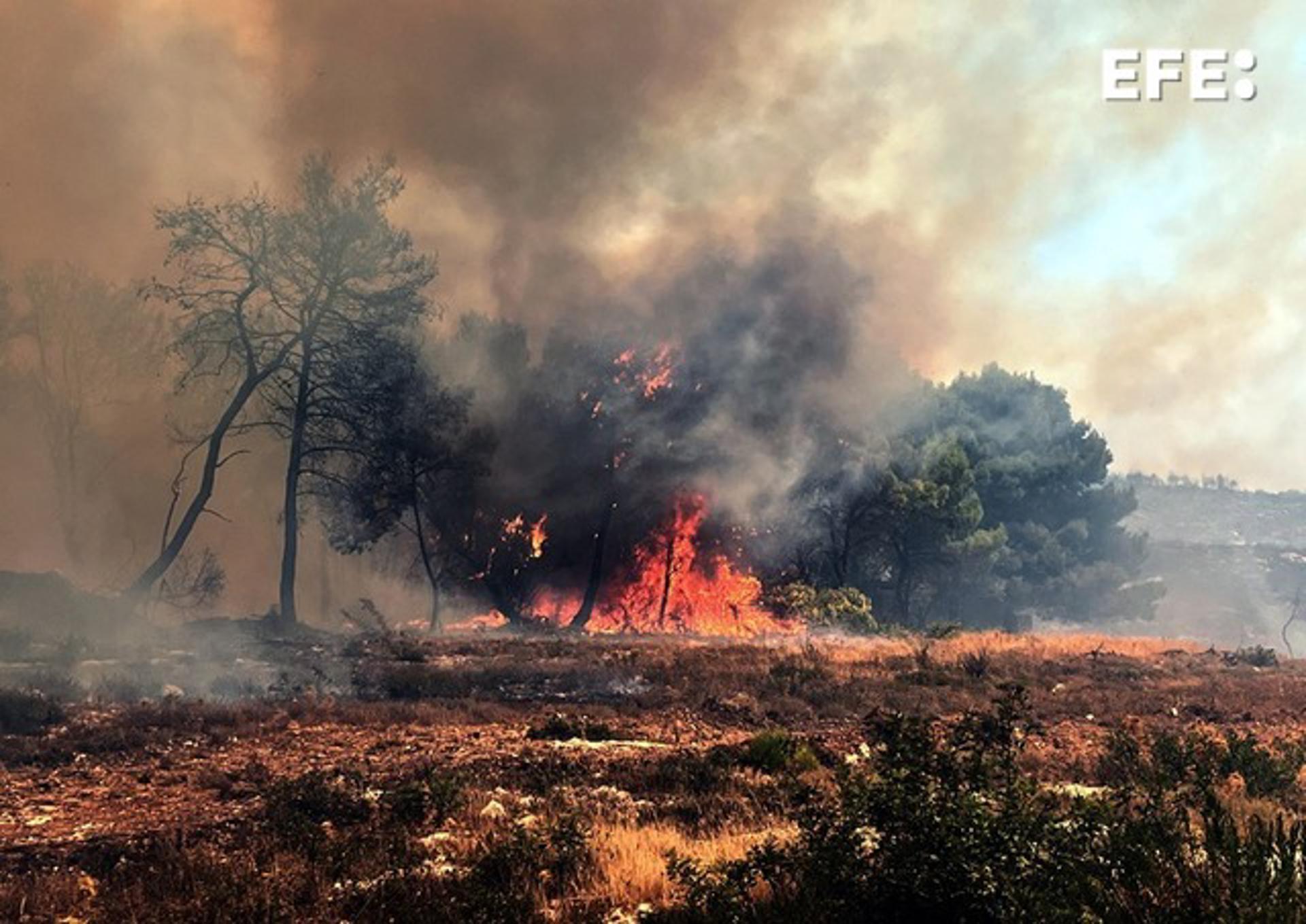 Árboles ardiendo en un incendio en la isla de Zante, mar Jónico, Grecia. EFE/EPA/COSTAS SYNETOS