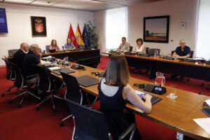 Irati Jiménez (i) del grupo parlamentario de EH Bildu, preside la sesión de la Comisión de Investigación sobre licitación y adjudicación de obras públicas del Gobierno de Navarra para el análisis de la documentación recibida en relación con el plan de trabajo, este martes en Pamplona. EFE/Jesús Diges