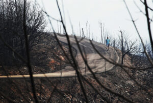 Vista del pasado miércoles de una paraje quemado por el incendio en Las Médulas, Orellán y Carucedo. EFE/Ana F. Barredo