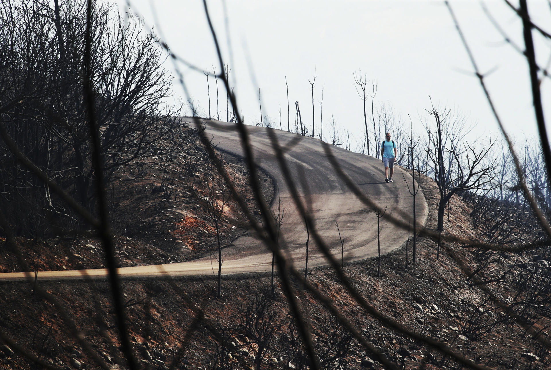 Vista del pasado miércoles de una paraje quemado por el incendio en Las Médulas, Orellán y Carucedo. EFE/Ana F. Barredo
