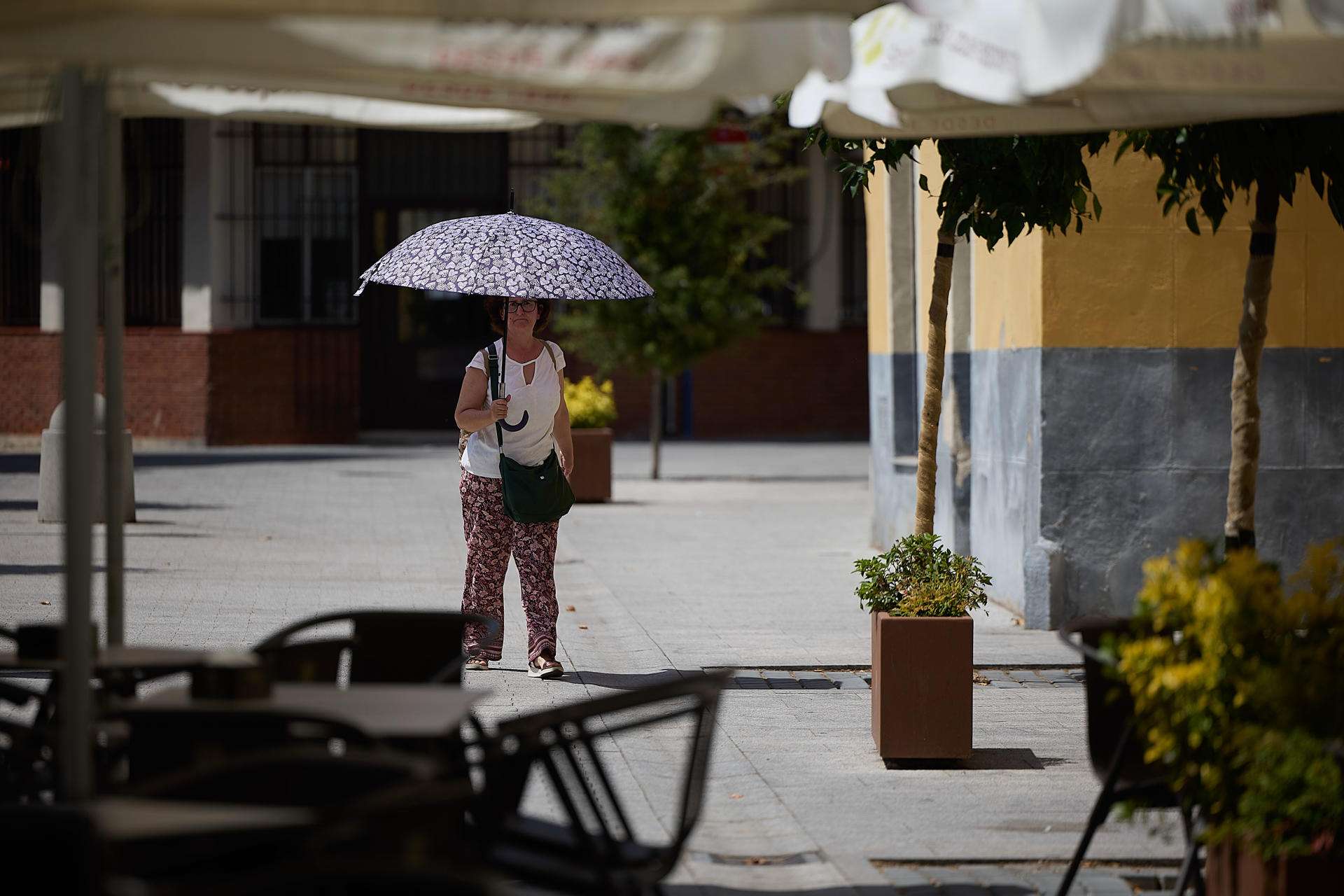 Una familia se refresca en una fuente en Plasencia, este martes. EFE/Eduardo Palomo