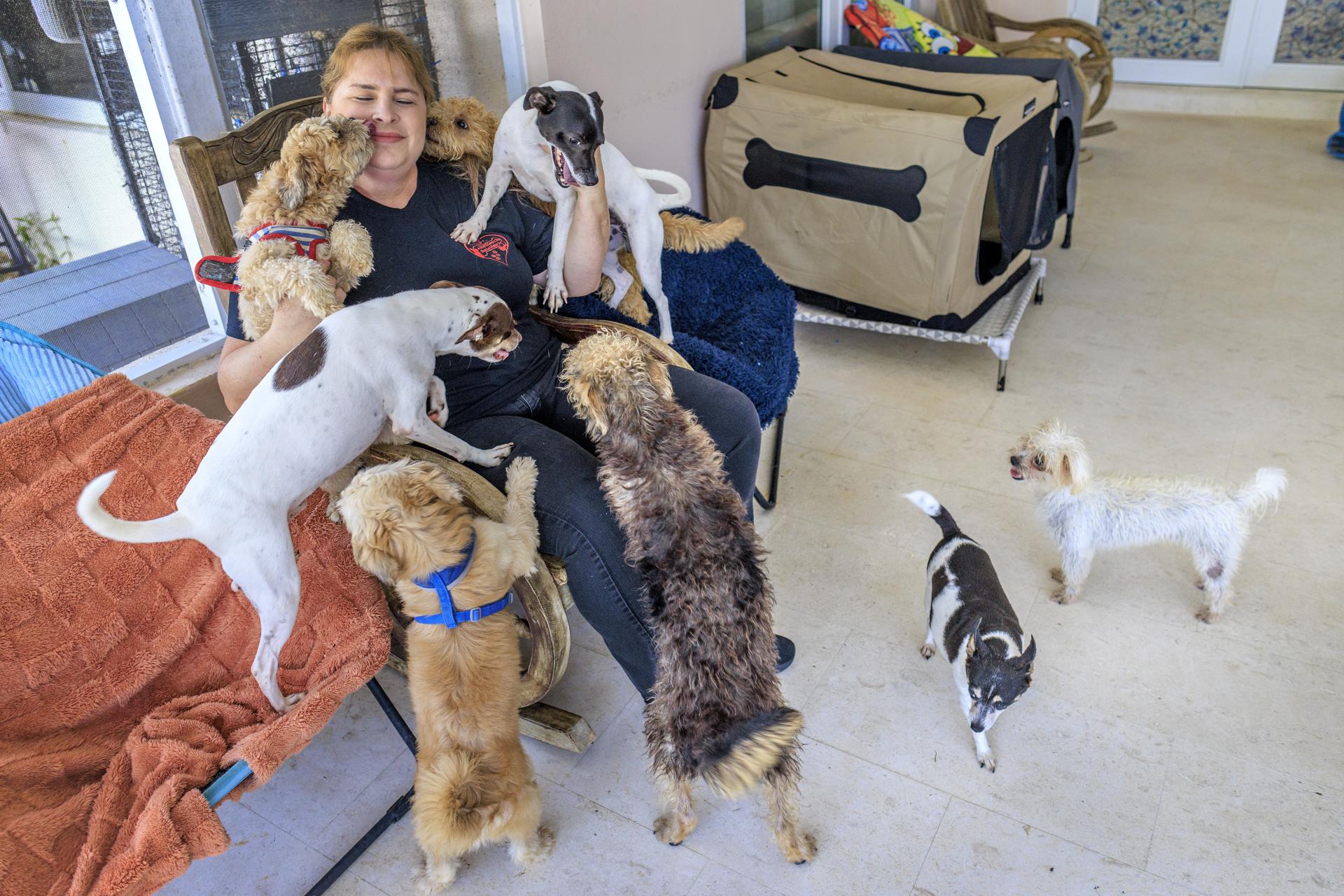Daymi Blain, directora de Adopt and Save a Life Rescue Mission, juega con perros rescatados en la sede de la organización en Miami, Florida, Estados Unidos. EFE/CRISTOBAL HERRERA-ULASHKEVICH