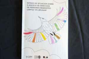 Fotografía que muestra la portada del libro 'Estado de situación sobre ejercicio de derechos de personas migrantes LGBTIQ+ en Uruguay' este miércoles, en Montevideo (Uruguay). EFE/ Alejandro Prieto