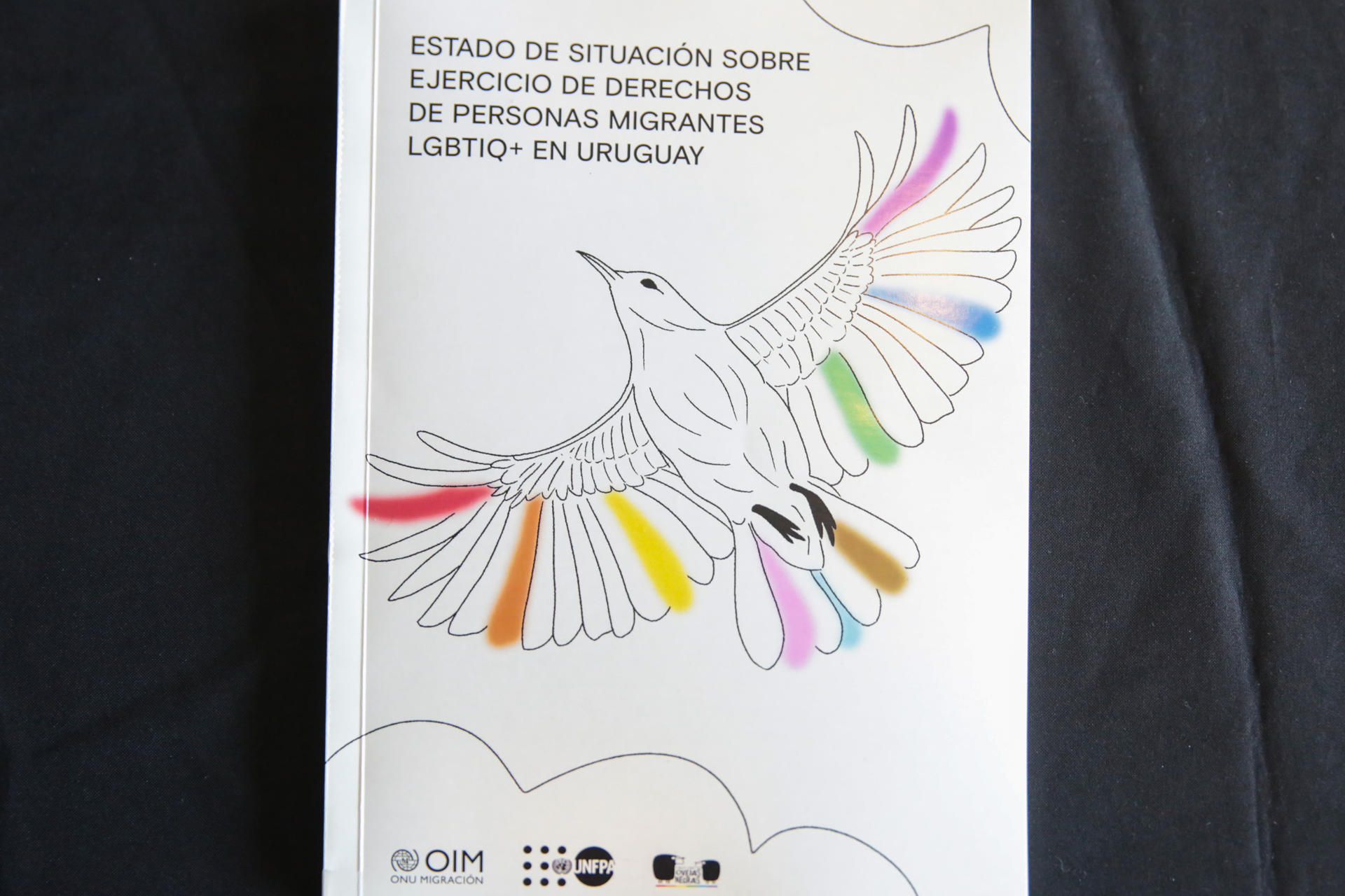 Fotografía que muestra la portada del libro 'Estado de situación sobre ejercicio de derechos de personas migrantes LGBTIQ+ en Uruguay' este miércoles, en Montevideo (Uruguay). EFE/ Alejandro Prieto