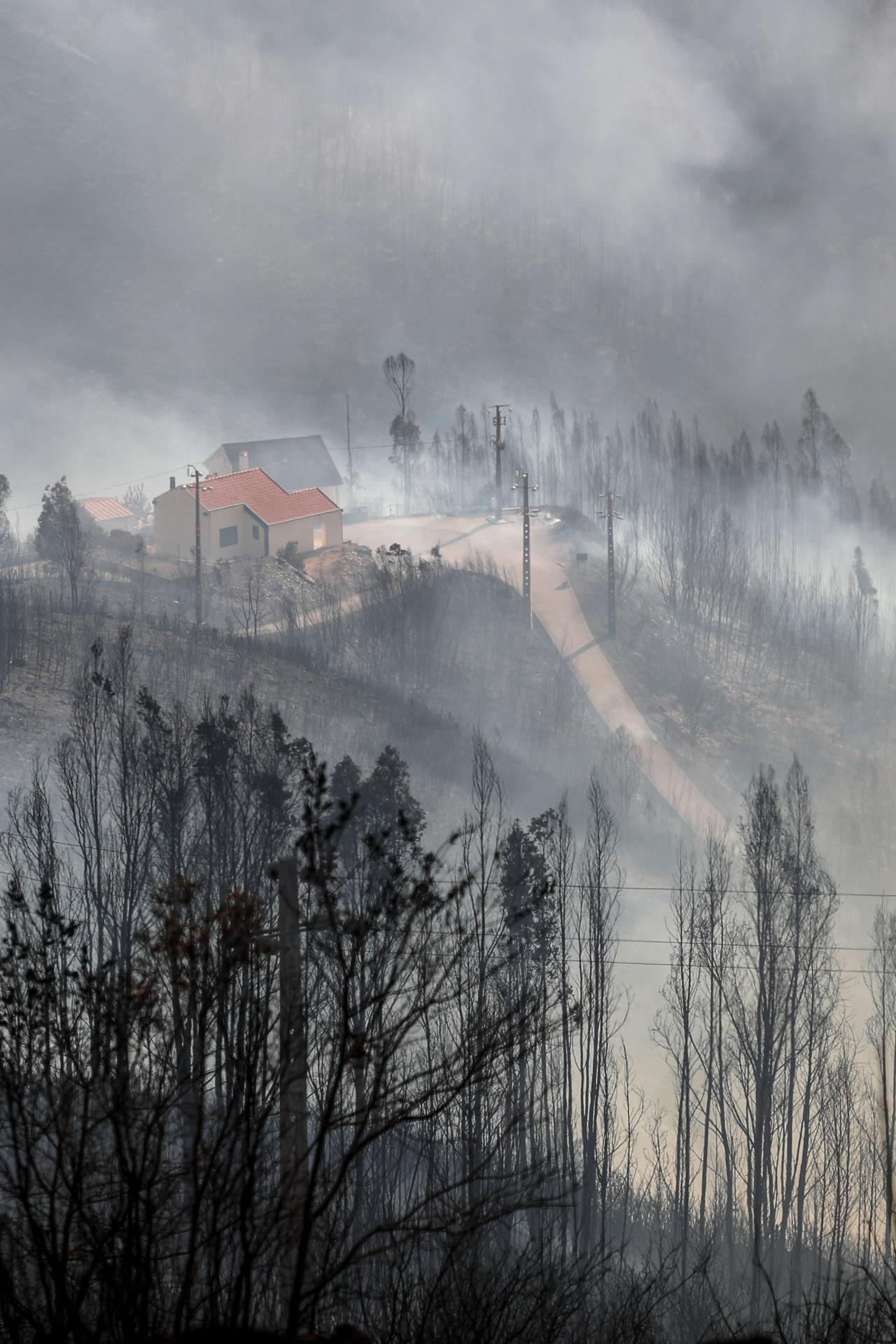 Oliveira do Hospital, Portugal. EFE/EPA/PAULO CUNHA
