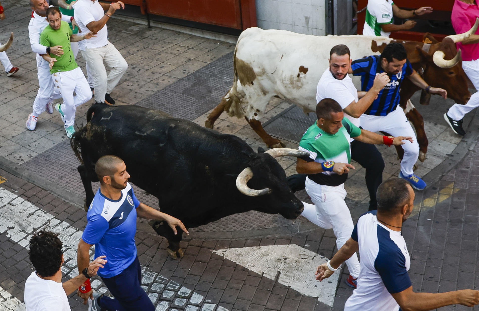 Los mozos corren ante los toros durante el séptimo encierro de San Sebastián de los Reyes, este sábado. EFE/David Fernández
