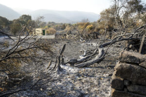 Área quemada en el municipio de Jarilla, este miércoles. El avance  del incendio en Jarilla (Cáceres) se ha logrado contener pues en los dos últimos días ha ido quemando "de 500 en 500 hectáreas", mucho menos que en jornadas anteriores, pero hoy el viento vuelve a complicar las tareas de extinción. El consejero de Presidencia, Interior y Diálogo Social, Abel Bautista, ha informado, tras una nueva reunión del Cecopi en el Puesto Avanzado de La Granja (Cáceres), de la evolución de este fuego, que entra hoy en su noveno día activo y que ya ha arrasado 16.000 hectáreas en un perímetro de 160 kilómetros. EFE/