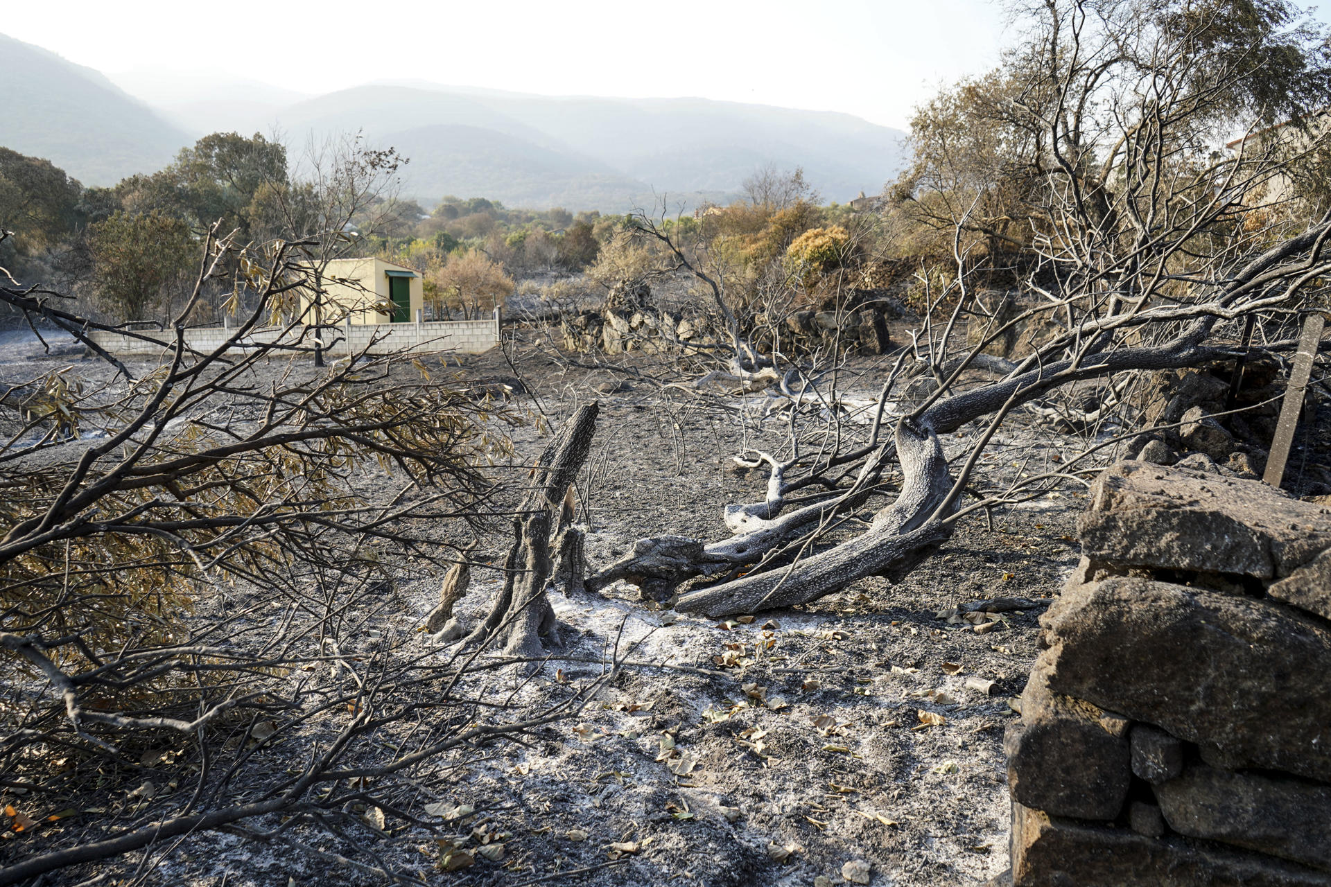 Área quemada en el municipio de Jarilla, este miércoles. El avance  del incendio en Jarilla (Cáceres) se ha logrado contener pues en los dos últimos días ha ido quemando "de 500 en 500 hectáreas", mucho menos que en jornadas anteriores, pero hoy el viento vuelve a complicar las tareas de extinción. El consejero de Presidencia, Interior y Diálogo Social, Abel Bautista, ha informado, tras una nueva reunión del Cecopi en el Puesto Avanzado de La Granja (Cáceres), de la evolución de este fuego, que entra hoy en su noveno día activo y que ya ha arrasado 16.000 hectáreas en un perímetro de 160 kilómetros. EFE/