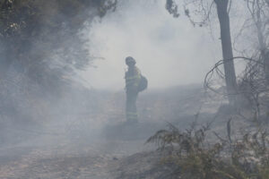 Bomberos trabajan en la extinción del incendio este jueves, en las proximidades de La Alberca (Salamanca). EFE/ JMGARCIA