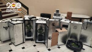 Agentes de la Policía Nacional han intervenido un cultivo de marihuana en una vivienda de Morón de la Frontera (Sevilla), donde fueron detenidos dos varones tras localizar un total de 16 plantas de marihuana en diferentes fases de crecimiento, con la particularidad de estar cultivadas con un nuevo método, en armarios portátiles.EFE/Policía Nacional//SOLO USO EDITORIAL/SOLO DISPONIBLE PARA ILUSTRAR LA NOTICIA QUE ACOMPAÑA (CRÉDITO OBLIGATORIO)//