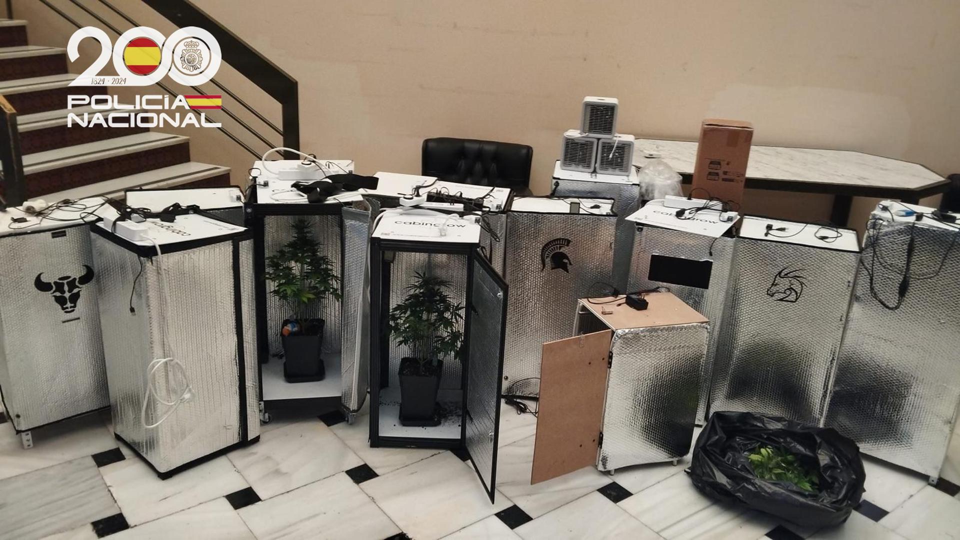 Agentes de la Policía Nacional han intervenido un cultivo de marihuana en una vivienda de Morón de la Frontera (Sevilla), donde fueron detenidos dos varones tras localizar un total de 16 plantas de marihuana en diferentes fases de crecimiento, con la particularidad de estar cultivadas con un nuevo método, en armarios portátiles.EFE/Policía Nacional//SOLO USO EDITORIAL/SOLO DISPONIBLE PARA ILUSTRAR LA NOTICIA QUE ACOMPAÑA (CRÉDITO OBLIGATORIO)//