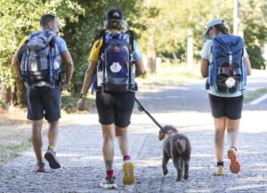 SEl Camino de Santiago puede hacerse de varias maneras y con diversa compañía, incluso animal. En los últimos años cada vez son más los peregrinos que deciden recorrer las rutas jacobeas acompañados de sus perros como la perra Daia que realizó con sus dueños el Camino Francés, una tendencia que sin embargo puede resultar algo compleja si no se prepara bien el viaje debido a la falta de recursos y en algunos casos a la poca empatía. EFE/ Xoán Rey.