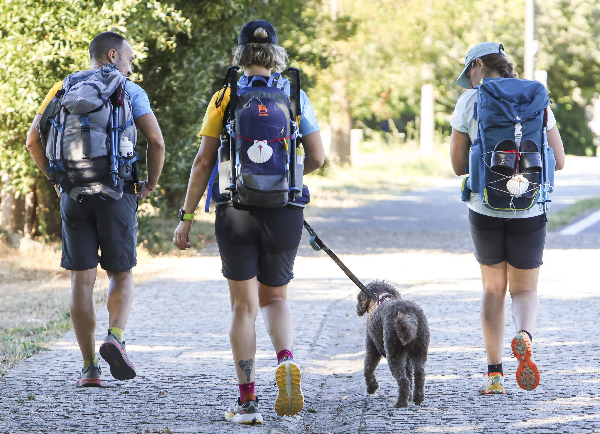 SEl Camino de Santiago puede hacerse de varias maneras y con diversa compañía, incluso animal. En los últimos años cada vez son más los peregrinos que deciden recorrer las rutas jacobeas acompañados de sus perros como la perra Daia que realizó con sus dueños el Camino Francés, una tendencia que sin embargo puede resultar algo compleja si no se prepara bien el viaje debido a la falta de recursos y en algunos casos a la poca empatía. EFE/ Xoán Rey.