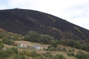 Galicia afronta su cuarta jornada consecutiva sin incendios activos de más de 20 hectáreas y solo están pendientes de extinción los tres megaincendios que han... En la imagen monte calcinado en Aguiar, próximo a San Pedro de Río, en A Fonsagrada, Lugo. EFE/Eliseo Trigo