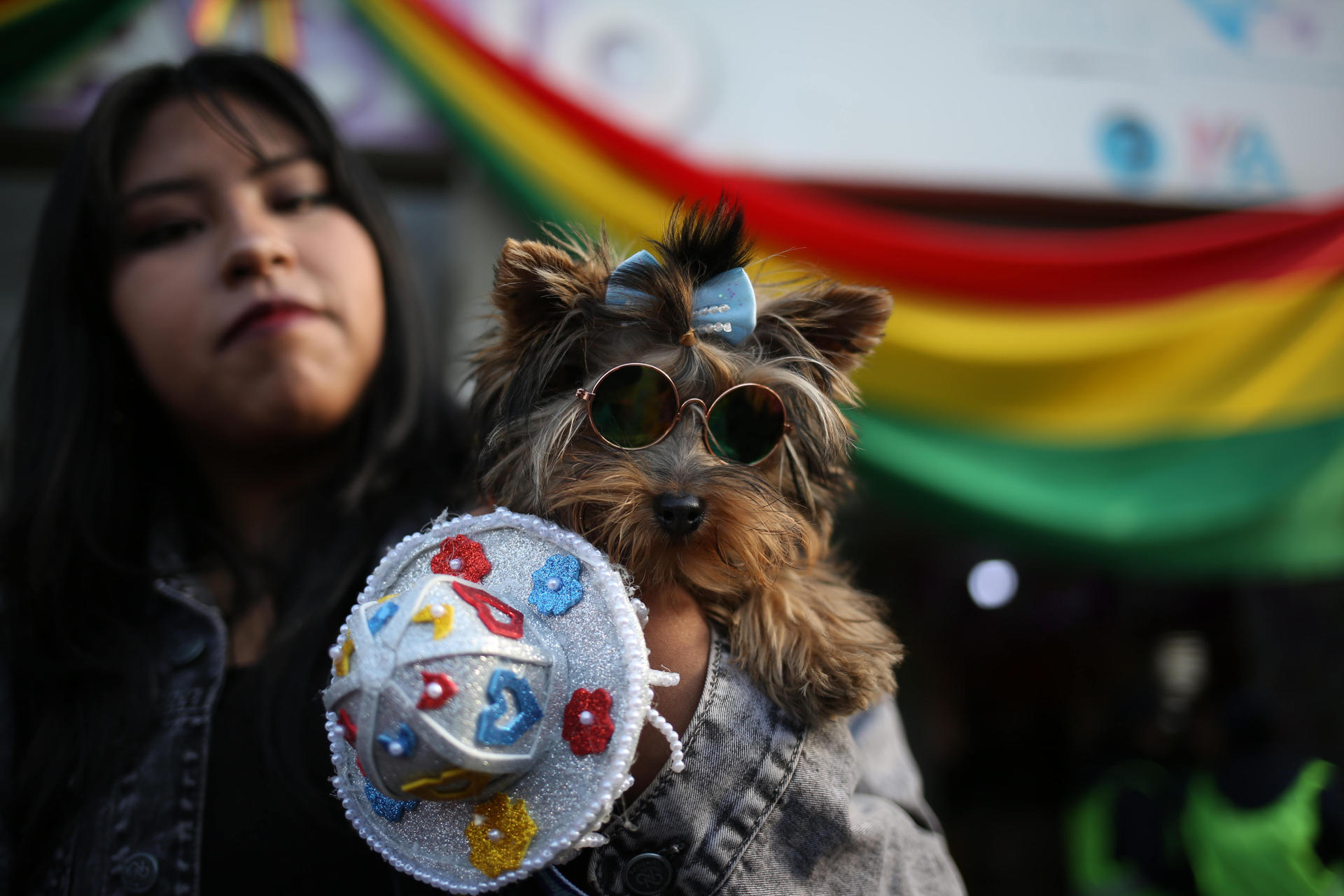 Una persona sostiene a su perro durante una marcha por el Bicentenario de Bolivia este jueves, en La Paz (Bolivia). EFE/Luis Gandarillas
