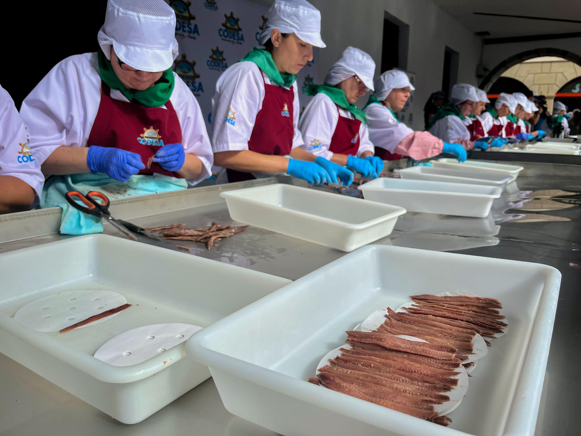 En Laredo, se ha culminado este viernes el reto de elaborar la lata de conservas más grande del mundo, con 3.232 anchoas confeccionadas bajo los cánones tradicionales, para dar visibilidad tanto al valor artesanal como a uno de los activos gastronómicos estrella del municipio y de Cantabria. EFE/ Miguel Ramos