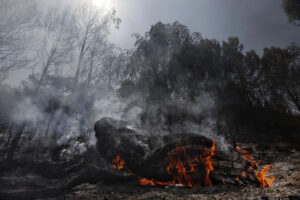 Área afectada por el incendio que desde el sábado a la noche se mantiene activo en un paraje forestal de la localidad navarra de Carcastillo, que sigue sin estar perimetrado, una tarea que se ve dificultada por las extremas temperaturas, bajo nivel de humedad y riesgo de tormenta seca. EFE/ Jesús Diges