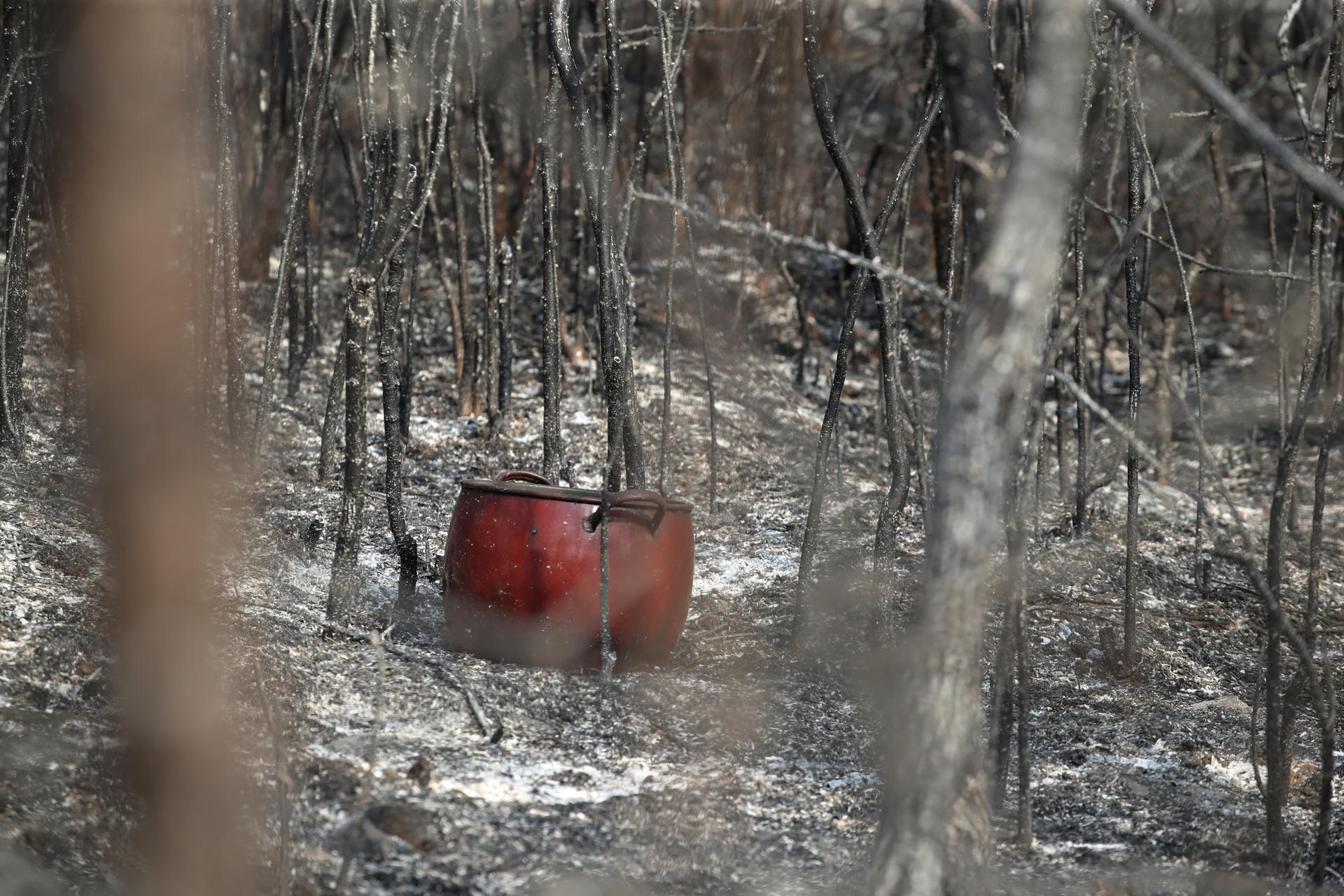 El fuego declarado en la localidad leonesa de Yeres y que ha afectado al espacio natural de Las Médulas, catalogado por la Unesco como Patrimonio de la Humanidad y corazón turístico de la comarca leonesa de El Bierzo, ha dejado una sensación entre los vecinos de vivir un infierno del que tardarán años en salir. EFE/Ana F. Barredo

