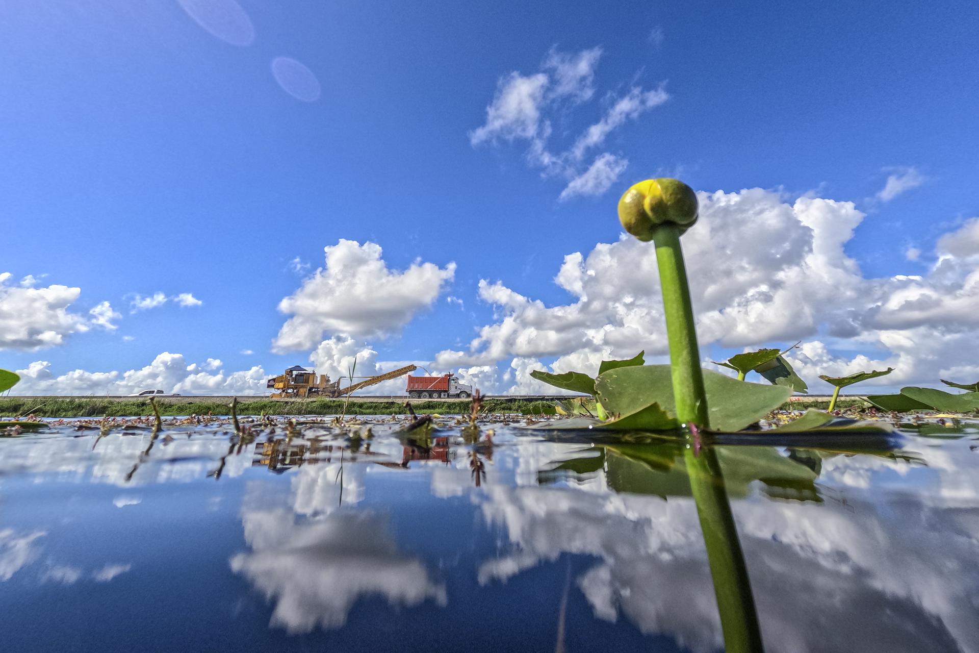 Empleados de construcción trabajan en el Tamiami Trail, también conocido como Florida State Road 41, que cruza el Parque Nacional Everglades cerca de Miami, Florida, EE. UU., el 12 de agosto de 2025. EFE/EPA/Cristobal Herrera-Ulashkevich