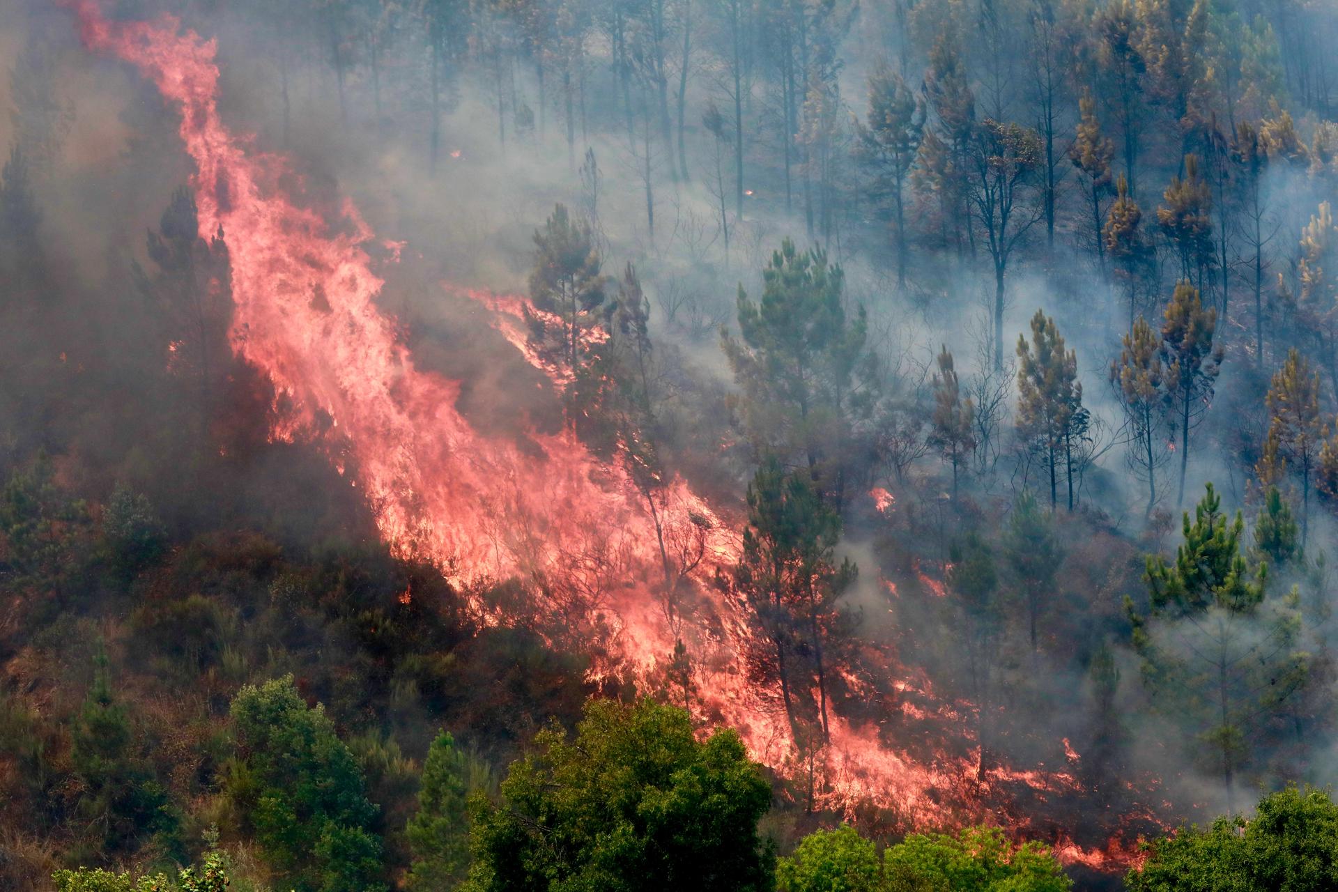 Imagen del incendio que comenzó hace cinco días en Aldeia de Piodao, Arganil, Portugal. EFE/EPA/MIGUEL PEREIRA DA SILVA