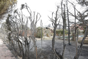 Vista de viviendas afectadas por el fuego en la urbanización Soto de Viñuelas mientras continúan las labores de extinción del incendio en Tres Cantos, Madrid, el cual ya está perimetrado. El incendio, que aún no está estabilizado aunque sí perimetrado, ha dejado un fallecido, que fue rescatado por los servicios de emergencias de una de las viviendas de la urbanización Soto de Viñuelas con quemaduras en el 98 % de su cuerpo, y un hombre de 83 años hospitalizado con afectación torácica, además de 200 desalojados de dos urbanizaciones próximas al fuego. EFE/ Zipi