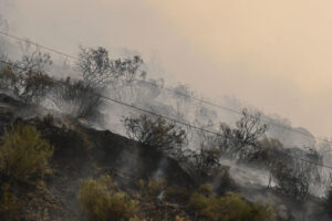 El incendio que amenaza la vertiente leonesa del Parque Nacional de Picos de Europa, iniciado en Barniedo de la Reina e impulsado por el viento y las altas temperaturas. EFE/J.Casares
